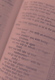 English Bible in Light Red