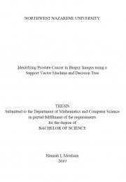 Identifying Prostate Cancer in Biopsy Images using a Support Vector Machine and Decision Tree